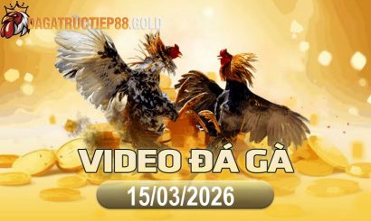 img video da ga cpc4 1773619420